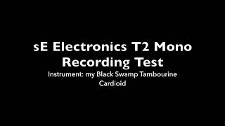 sE Electronics T2 Microphone Test [upl. by Philoo384]