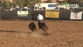 ASH National Show 2013  Open Campdraft [upl. by Natsirk]