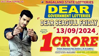 DEAR SEAGULL FRIDAY WEEKLY 8 PM ONWARDS DRAW DATE 13092024 NAGALAND STATE LOTTERIES [upl. by Tabatha529]