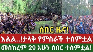 ሰበር ዜናአሁን መስከረም 29 ታላቅ የምስራች ዜና ተሰምቷልvoa amharic newsamhara daily [upl. by Dayir]