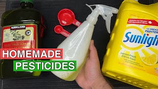 Powerful Natural Pesticides for Plants and Garden  Homemade Pesticides [upl. by Shulman673]