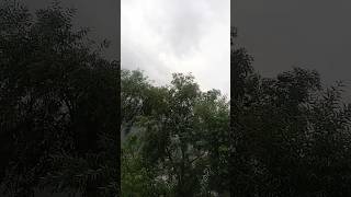 The Rainiest Day ever  Rain explosion  ytshorts rain viral [upl. by Ihcekn8]