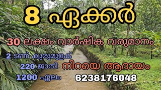 മുരിക്കാശ്ശേരിയിൽ 30 ലക്ഷം വാർഷിക വരുമാനമുള്ള 8 ഏക്കർ സ്ഥലം വിൽപ്പനയ്ക്ക് [upl. by Genet482]