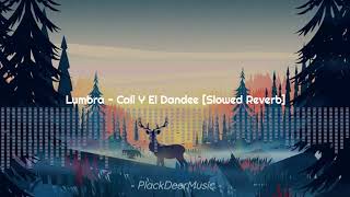 Lumbra  Cali Y El Dandee Slowed Reverb [upl. by Henriques]