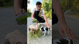 Rc Remote Control Camel 🐪 With Cow ki unboxing 🔥 [upl. by Groark540]