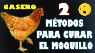 2 Métodos Para curar el Moquillo a los gallos y gallinas  EFECTIVO [upl. by Tini]