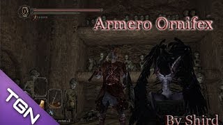 Dark Souls 2 Armero Ornifex [upl. by Einatsed]