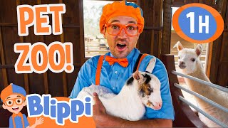 Blippi Visits a Pet Zoo in Brazil  1 HOUR OF BLIPPI TOYS  Animal Videos for Kids [upl. by Lerat866]