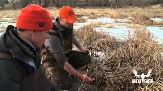 How to Trap Beaver and Muskrat with Steven Rinella  MeatEater [upl. by Lairret]