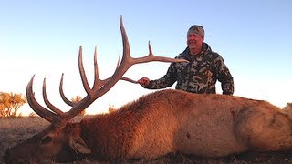 GIANT GILA BULL KILLED AT 360 YARDS [upl. by Astiram]