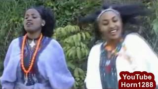 Ethiopian Traditional Music  ዘነበች ታዴ  የአለም የሲሳይ ቤት [upl. by Inobe]