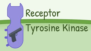 Receptor Tyrosine Kinase  MAPK Pathway [upl. by Anialeh]