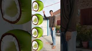 Rounding cut green coconuts to crow pigeon parrot amp peacock Birds names magic video [upl. by Isbella]