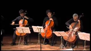 Cello Consort  Giovanni Sollima  17 maggio 2012 [upl. by Llenrrad]