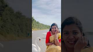 Mannum Niranje 🥰 Manavum Niranje🥰 Quick One 🥰🫰🤭 trending onam danceshorts [upl. by Tj]