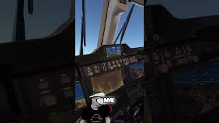 Microsoft Flight Simulator auf der Playstation VR2 [upl. by Scoter]