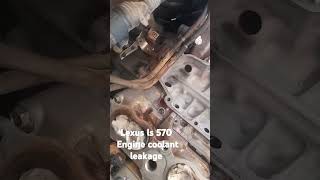 Lexus ls 570 coolant leakage problem solved lexus toyota 4x4 coolant leakage [upl. by Philipps938]