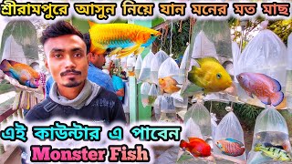 Shrirampur Colour Fish Market  Shrirampur Pet Market New Video  Recent Aquarium Fish Market Video [upl. by Glori]