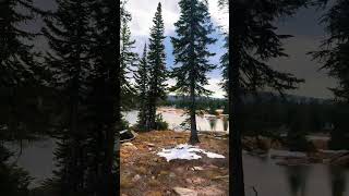 Elk season colorado elk hiking mountains fyp coloradotown atv [upl. by Iaverne]