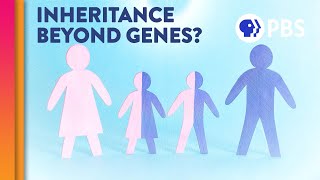 Is Epigenetic Inheritance Real [upl. by Naginarb632]