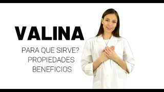 l valina valina para que sirve valina propiedades y beneficios [upl. by Fadas]