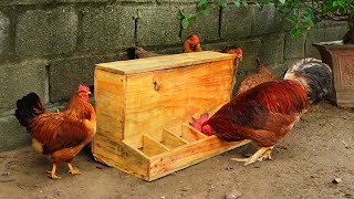 Save time with automatic wooden chicken feeder [upl. by Sosanna]