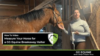 How to Measure Your Horse For a GG Equine Halter [upl. by Imak]