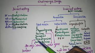 Cholinergic Drugs [upl. by Atilehs]