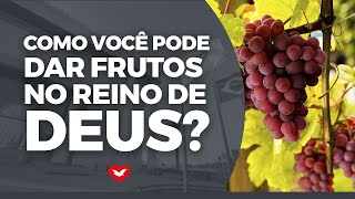 Como você pode DAR FRUTOS no Reino de Deus Bispo Jadson Santos [upl. by Ylim984]