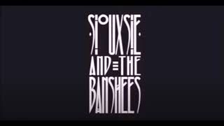 Siouxsie And The Banshees  Live in Slough 1985 Full Concert [upl. by Hembree784]