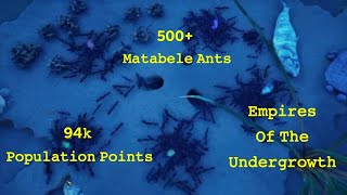 The Largest Matabele Ant Colony In Empires Of The Undergrowth  FreePlay [upl. by Neerol]