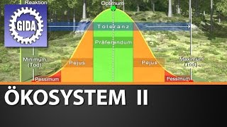 Trailer  Ökosystem II  Biologie  Schulfilm [upl. by Vincents292]