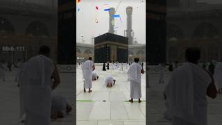 Sarkar ki aamad dildar ki aamad ☺️❤️✅ Islamic najam youtubeshortsshortsviralvideoviralshortnaat [upl. by Sollows]