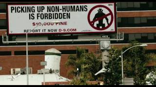 Official District 9 Movie trailer HD 720p [upl. by Guerra]