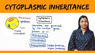 Cytoplasmic inheritance  Maternal Inheritance  Maternal Effect [upl. by Ursal944]