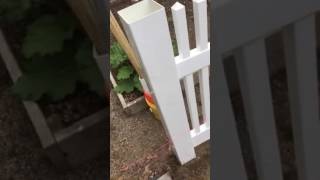 Vinyl fence post installation for heavy duty gate post [upl. by Simonsen]