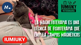 IUMIUKY El problema del hipo y la magnetoterapia  Mediaset [upl. by Elisabeth]