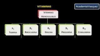 Vitaminas Historia Estructura y Clasificación [upl. by Arukas735]