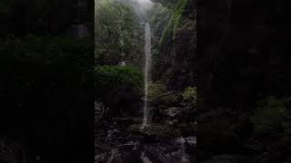 Kudlu teertha falls Agumbe [upl. by Acinoda]