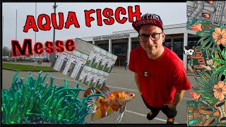 30 Jahre AQUA FISCH Messe 2024 Am Bodensee Friedrichshafen Wir schauen sie uns gemeinsam an [upl. by Anirrehs718]