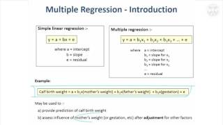 19 Introduction to Multiple Regression amp Logistic Regression [upl. by Ijat]