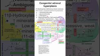 Congenital adrenal hyperplasia [upl. by Isabelle114]