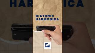 6 Types Of Harmonicas Diatonic Harmonica Blues Harp [upl. by Abram]