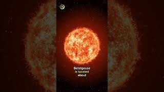 Betelgeuse has a diameter that surpasses Earths orbit around the SunBetelgeuse Astronomy [upl. by Giffy]