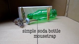 How to make ● a simple SODA BOTTLE HUMANE MOUSETRAP that works [upl. by Silvie989]