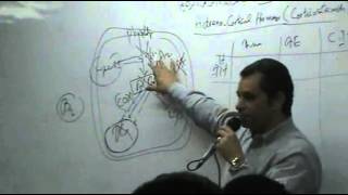 DrAhmed Abd ElRahman  Hormones 4  TopicCorticosteroids  Part 2 [upl. by Etnoved]