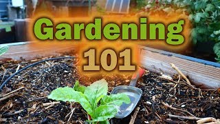 Gardening 101  The three basics [upl. by Guenna]