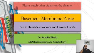 Basement Membrane Zone BMZ Part 2  Hemidesmosomes and Lamina Lucida [upl. by Haizek861]