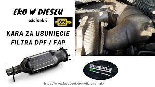 Kary za usunięcie filtra DPF  FAP  Eko w Dieslu  odcinek 6 [upl. by Suillenroc752]