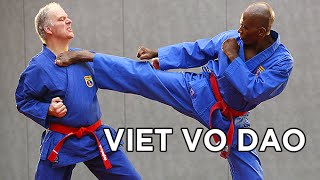 Vovinam Viet Vo Dao avec Gilles Crozon Cazin 5ème Dan FFKDA [upl. by Remo654]